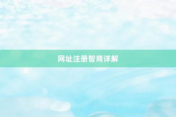 网址注册智商详解