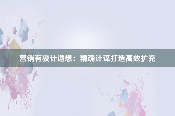 营销有狡计遐想：精确计谋打造高效扩充